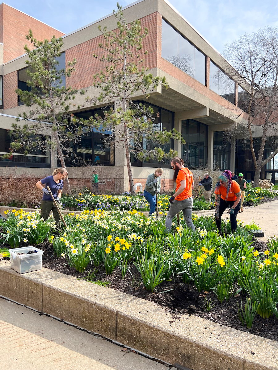 Volunteers plant flowers during Parkside Day