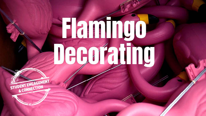 pile of pink flamingos plastic yard decorations
