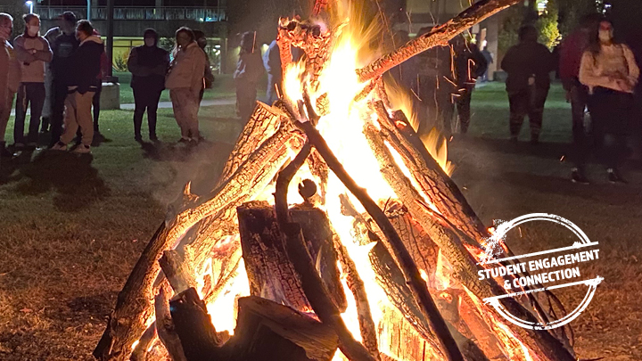 bonfire outside people