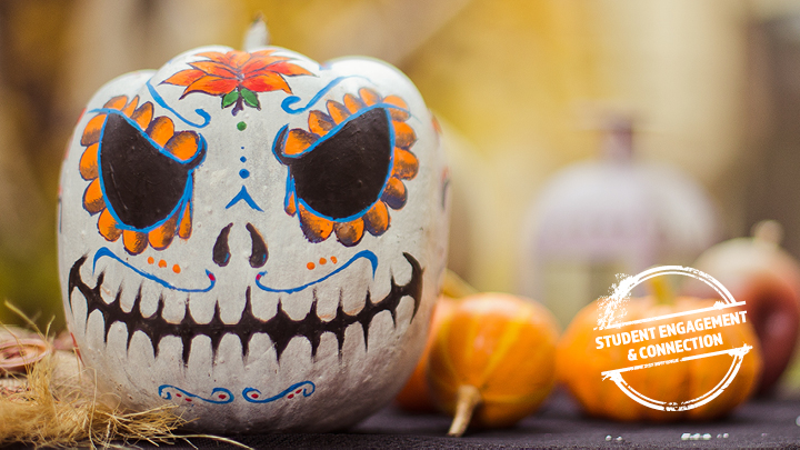 painted pumpkin skull face day of the dead