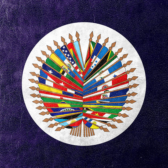 Model amer states640x640 flags in a circle, logo