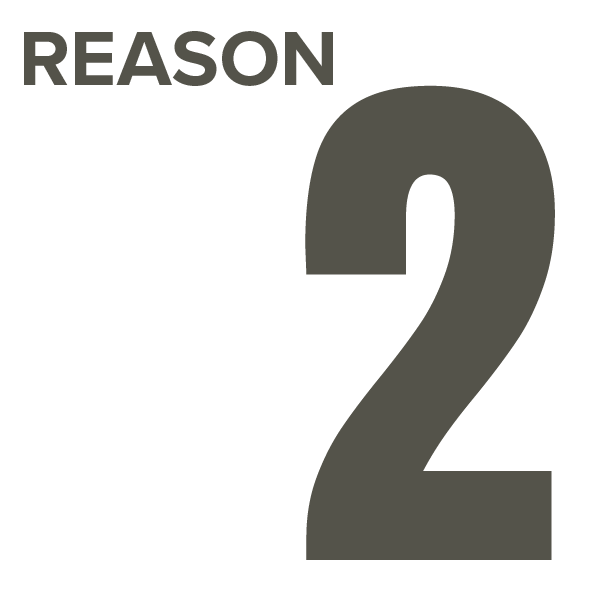 reason 2