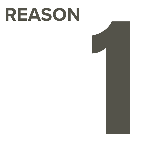 reason 1