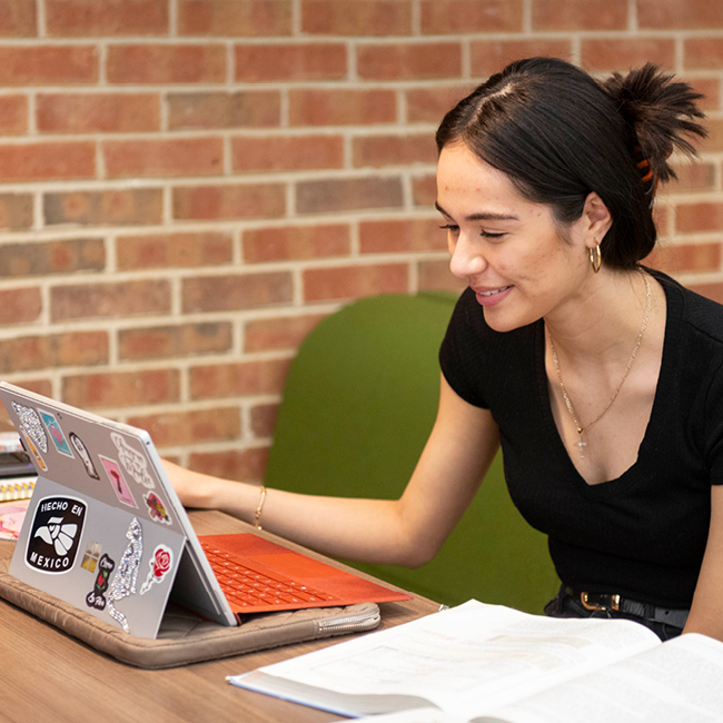 Student studying in a comfy upholstered sofa