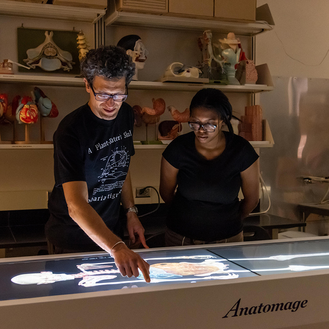 Professor and student on technical anatomical equiptment