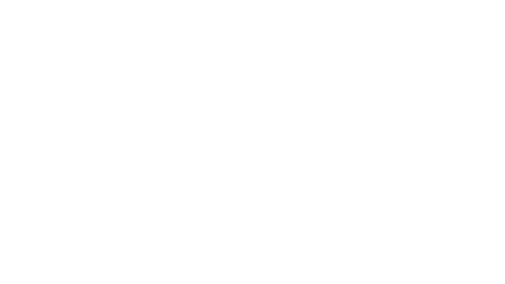 The Root Magazine