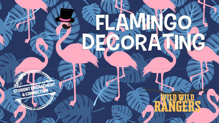 flamingo decorating