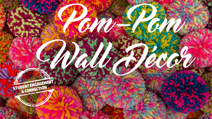 Pom-Pom Wall Decor