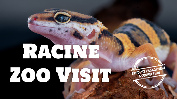 zoo visit