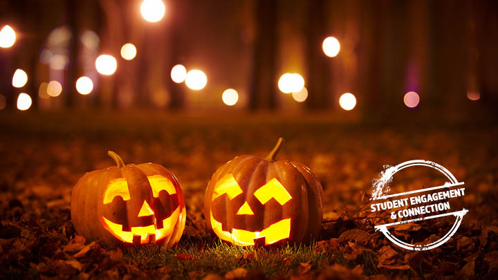 trick or treat