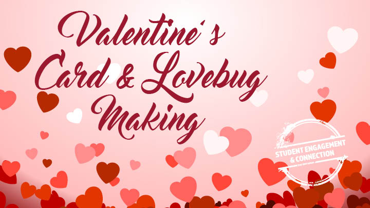 cards & love bugs