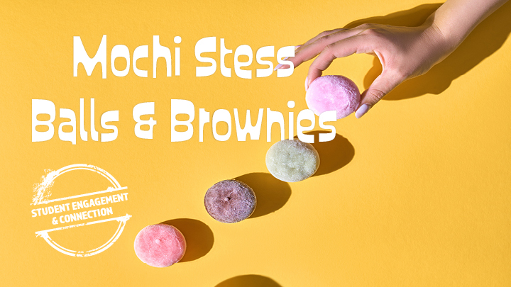 mochi stress balls