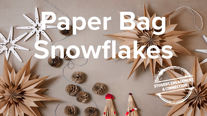 SEC paperbag snowflakes-digitals2