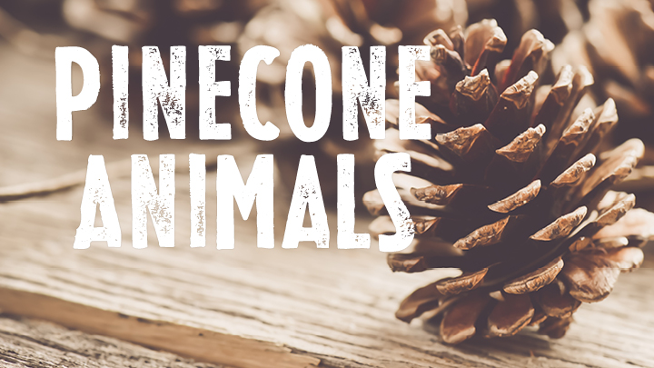 pinecone animals