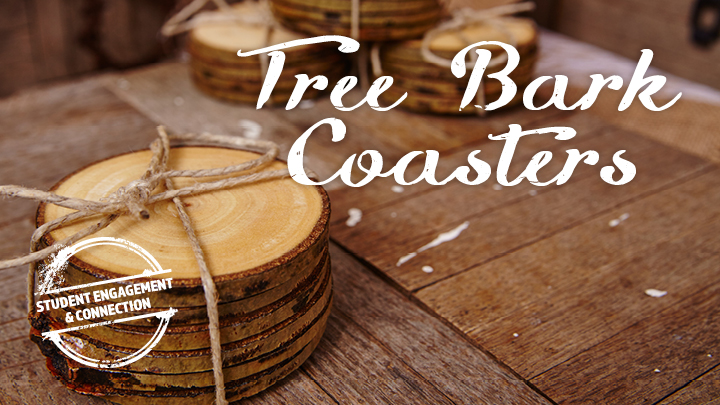 tree bark coasters