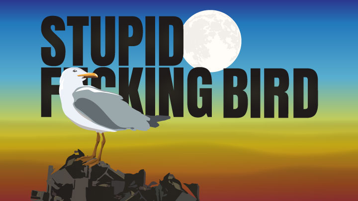 stupid f bird