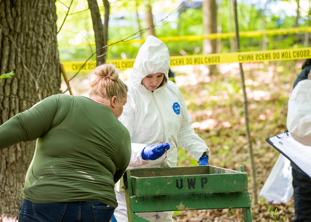 Dr. Janamarie Truesdell supervises sifting