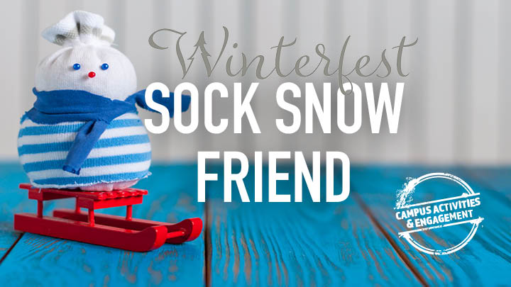 Sock snow friend