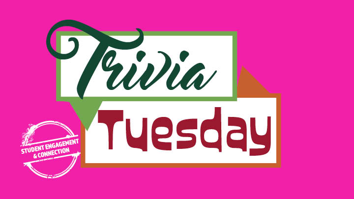 new trivia