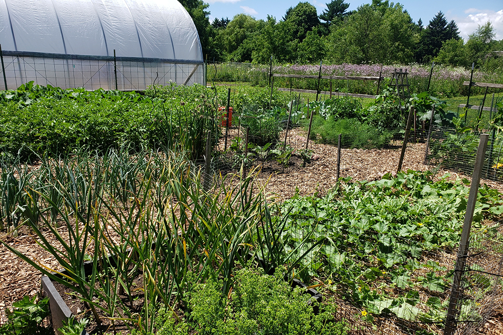 UWP Garden & Hoop House - 2020 UWPGarden