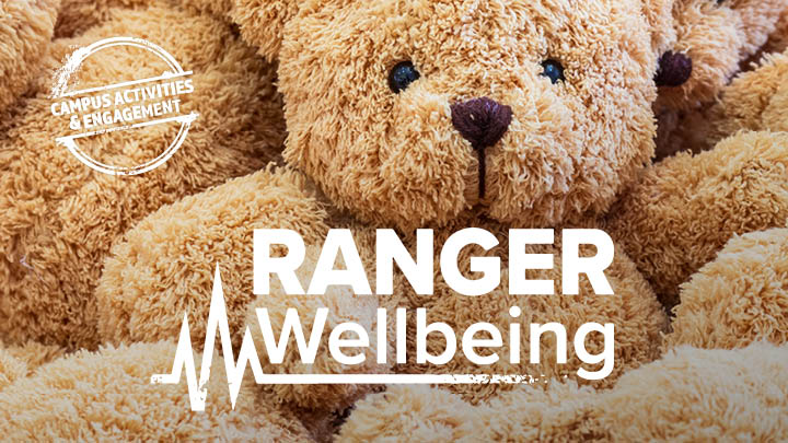 stuffed bears with Ranger Wellbeing words