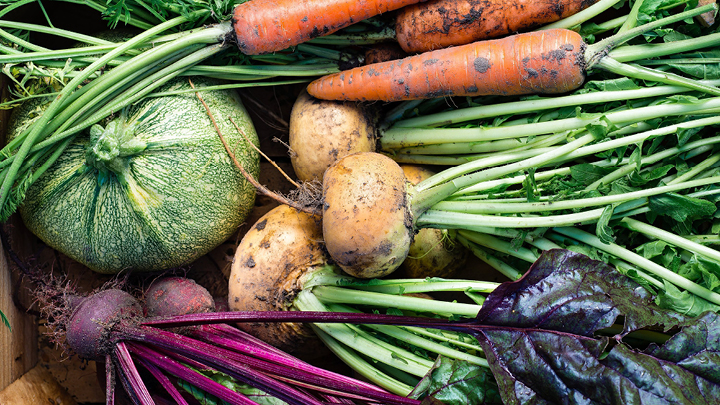 garden vegetables