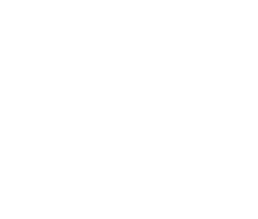smgt-reverse icon of the world and a leaf