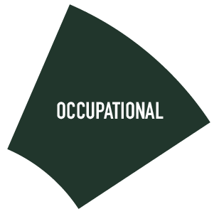 Occupational Occupational