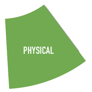 Physical Physical
