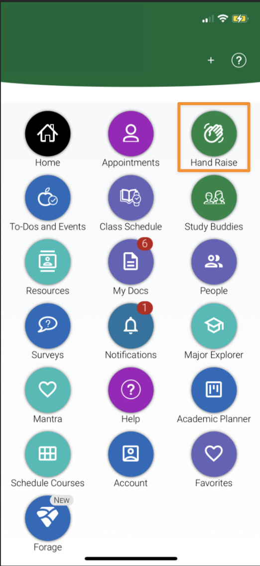 screenshot - Hand Raise icon