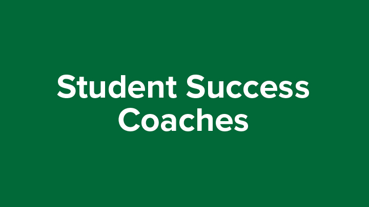 Student Success Coaches on green
