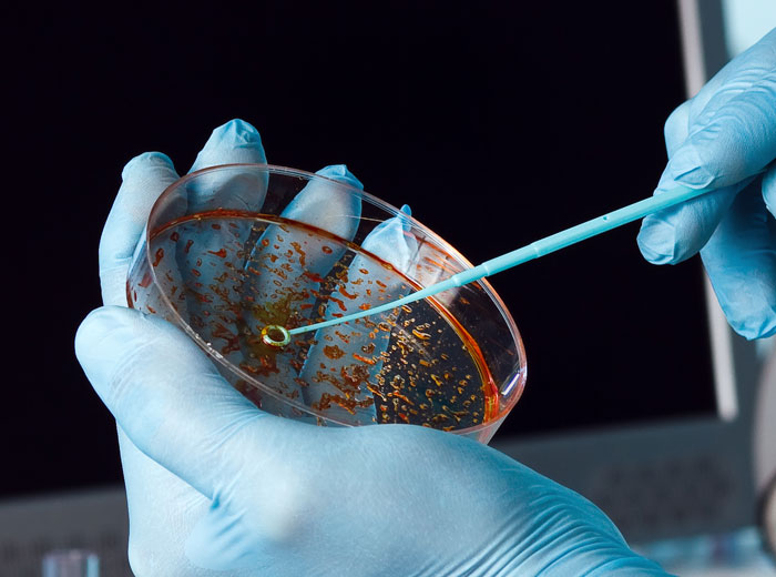 BiologySciences5 Biology