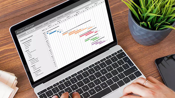 Mastering Project Management with Microsoft Project 2019 (Software Included)