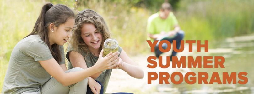 adult education summer courses southcoast adult education summer courses southcoast