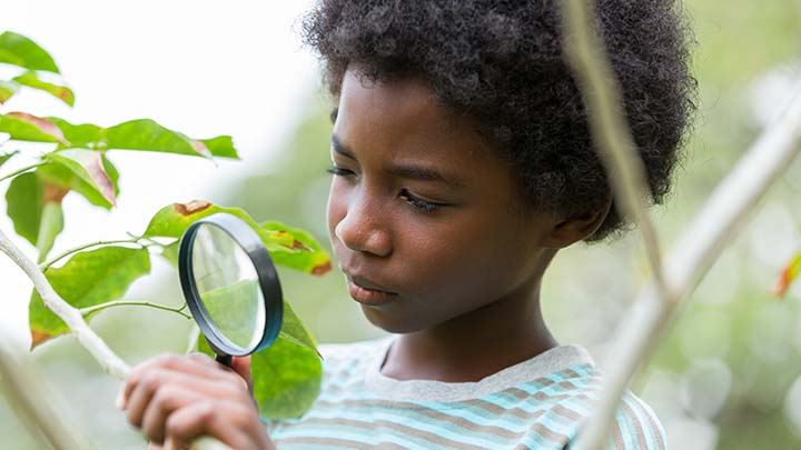 Image depicts a child looking through a magnifying glass to examine the environment