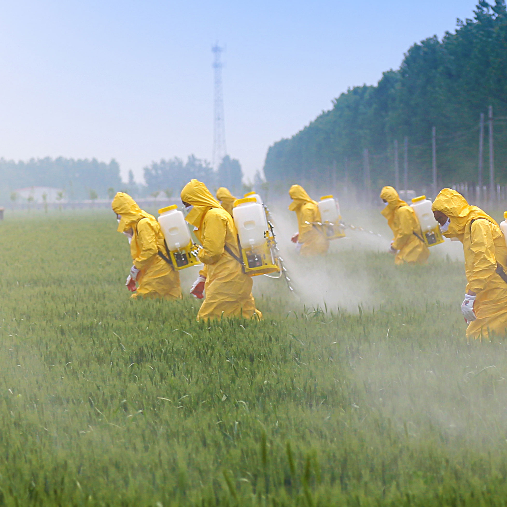pesticides men in hazmat suites spraying pesticides