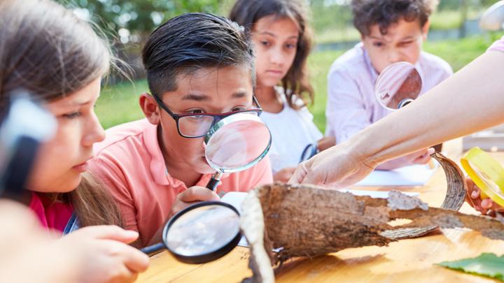 Image depicts a child investigating the environment