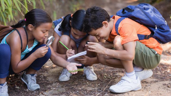 Image depicts a group of children exploring the environment