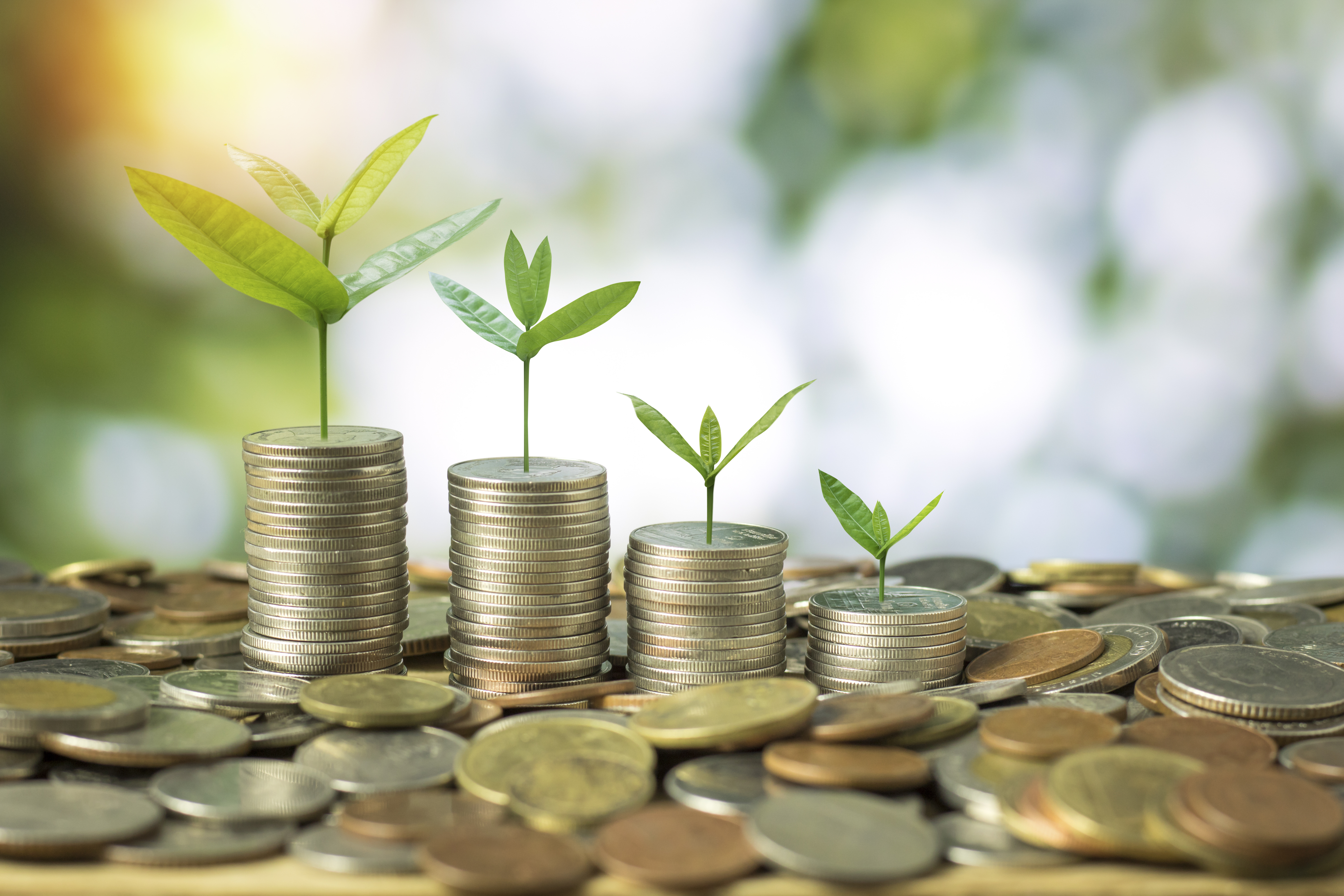 Fund Development