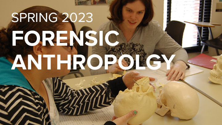 two girls examining two human skulls for forensic anthropology