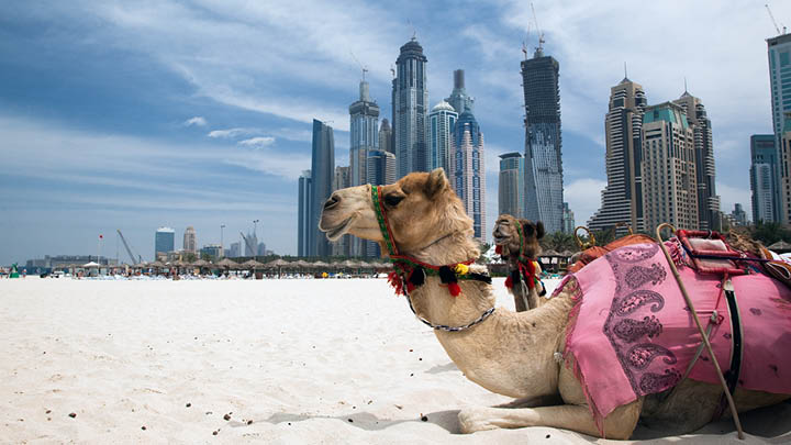 HIST 315 modern middle east thumb