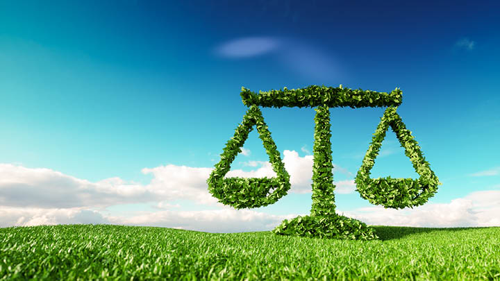 Image of scales of justice in a natural environment