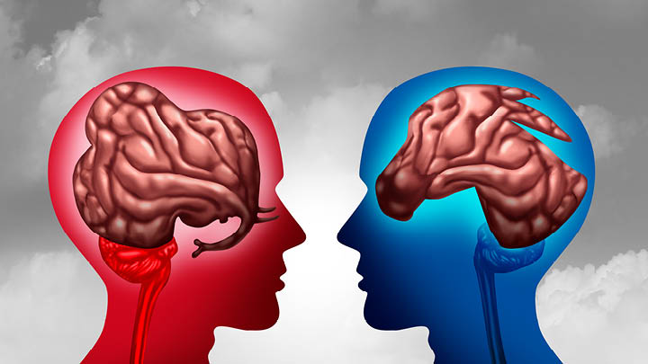 Two silhouettes of heads, red and blue with image of donkey and elephant inside