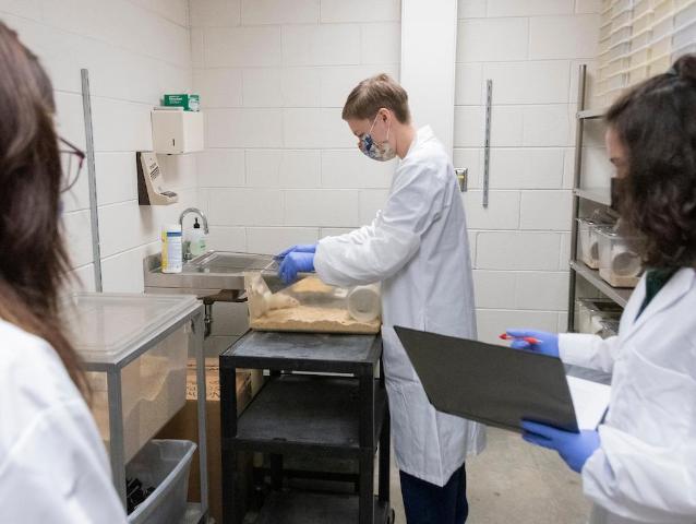 Pictured: Megane Beaupre examining a rat alonside group members