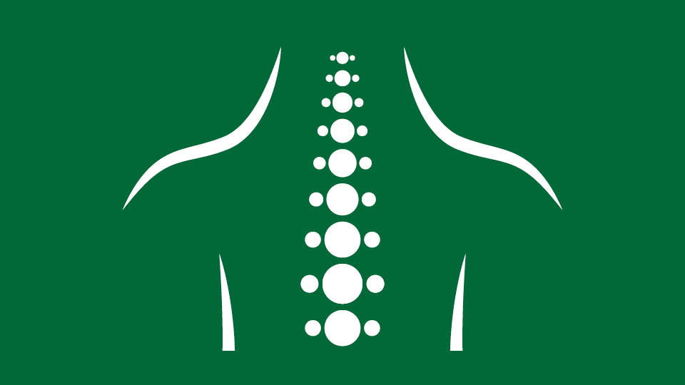 Icon of the spine