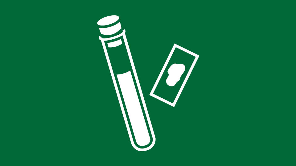 icon of test tube and slide