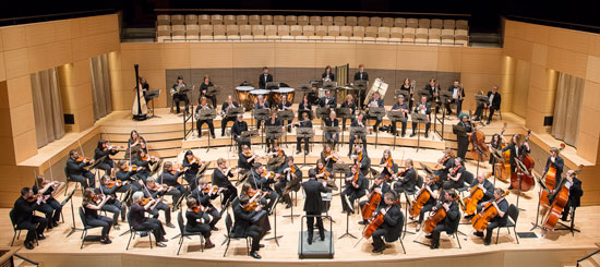 Parkside Orchestra