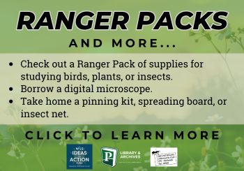 Ranger Packs