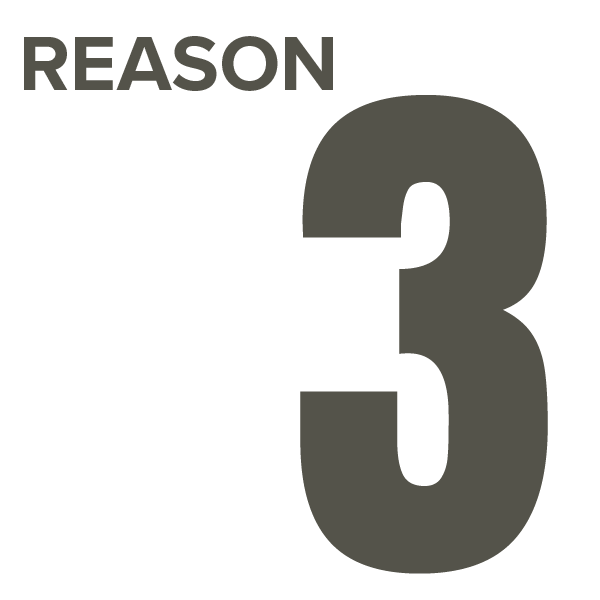 reason 3