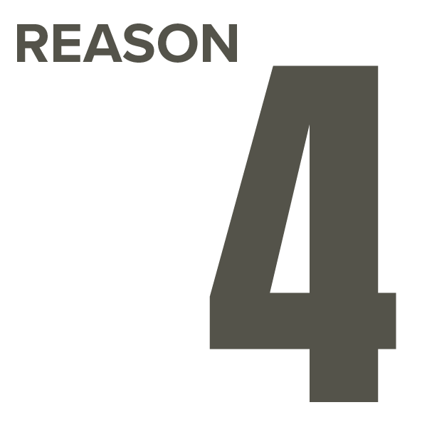 Reason 4